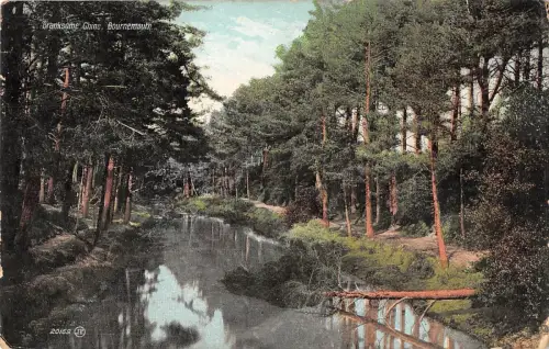 BR97006 valentine branksome chine bournemouth uk