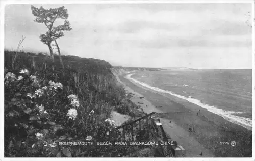 uk29908 beach from branksome chine bournemouth real photo uk