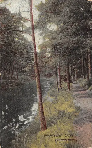 uk14778 branksome chine bournemouth uk