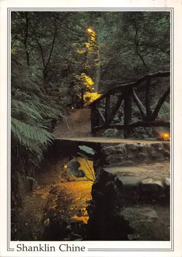 BT13822 Shanklin Chine Waldszene bei Nacht China