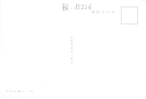 BR15226 China