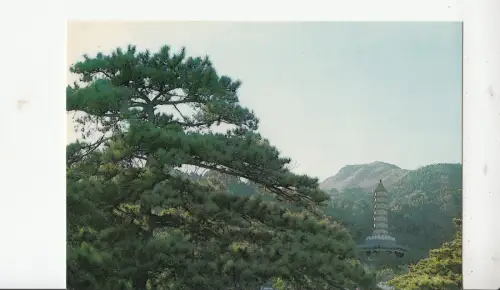 BF18883 verglaste Pagode in Frafgrance Hill Park Porzellan Vorder-/Rückbild