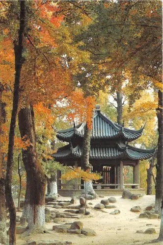 B53456 China Tianping Hill Porzellan