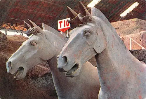 BR25772 a corner in Pit No 1 Chine horse chaveaux 2 scans china