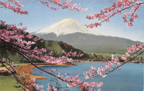Lot 28 Kirschblüte Japan Mount Fuji