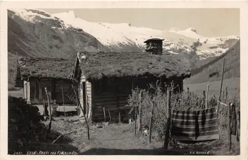 Lot 43 sog parti fra fjaerland norway real photo