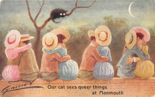 uk40197 our cats see queer things at monmouth wales uk novelty