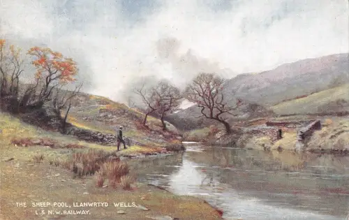 BR98553 Das Schafbecken llanwrtyd Brunnen Postkarte Wales Eisenbahn Karte