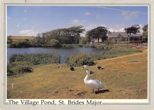 BR91261 Der Dorfteich St Brides Major Cygne Swan Wales
