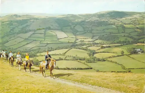 uk5921 pony trekkers builth wells wales uk