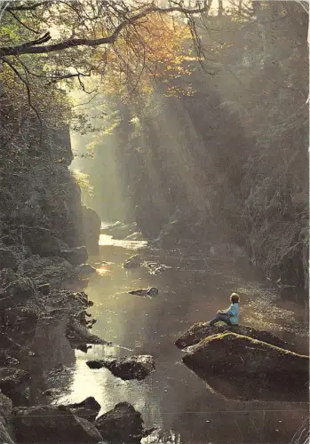 uk47059 fairy glen betws y coed gwynedd wales uk