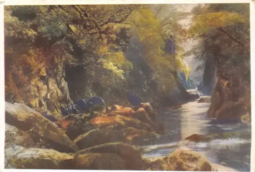 uk46193 fairy glen betws y coed wales uk