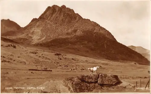 BR69657 tryfan capel curig sheep mouton wales richter 22114 Echtfoto