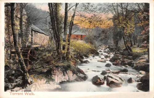 uk33640 torrent walk wales real photo uk