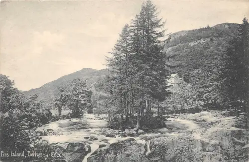 BR62059 firs island betws y coed Betws y Coed wales