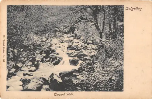 uk32928 torrent walk dolgelley wales real photo uk