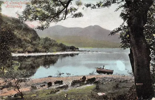 BR100001 at innisfallen killarney 27079 ireland