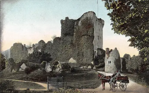 BR70159 Ross Castle Killarney Wagen Irland