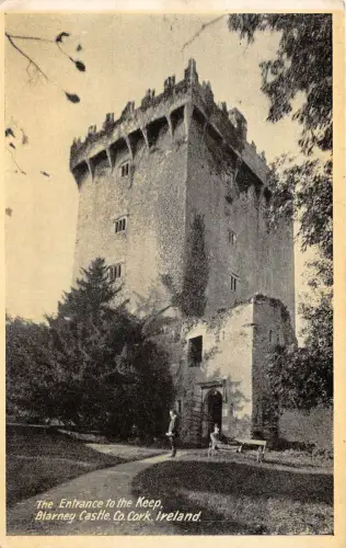 br108050 Eingang zum Bergfried Blarney Castle Kork Irland