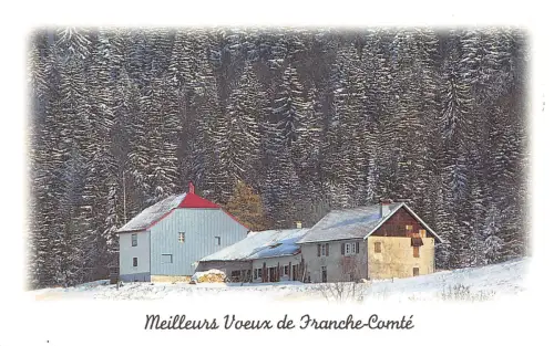 B51908 Meilleurs voeux de franche Comte france