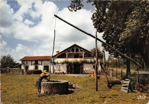 B50981 Au Pays Landais Gascogne Frankreich