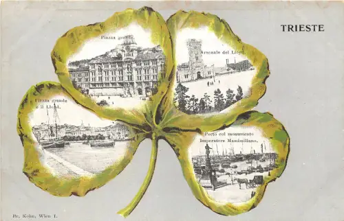 br104713 triest italy beauty clover