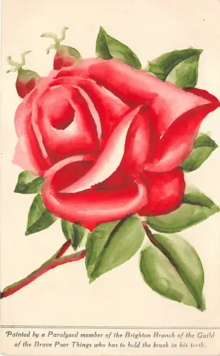 Lot306 Rose gemalt von einem gelähmten Mitglied des Brighton-Zweigs Postkarte UK