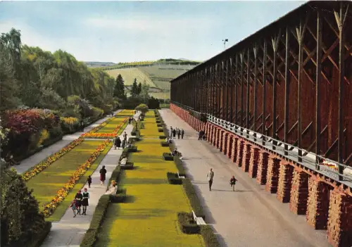 BG10849 bad durkheim das tor zum pfalzer wald germany