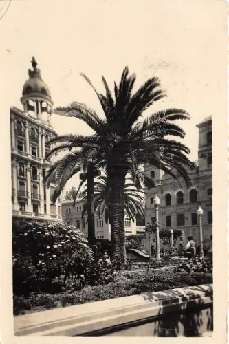 Lot 98 Echtfoto Murcia St Dominic Gardens Spanien