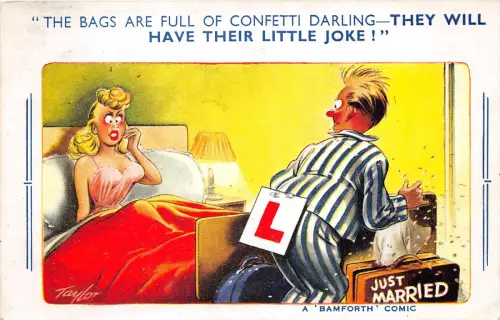 Lot 77 Comic Paar Just Married Little Joke Bamforth UK