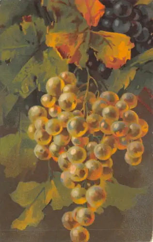 Lot 77 Trauben Gemälde Postkarte Italien Künstler signiert Velluto