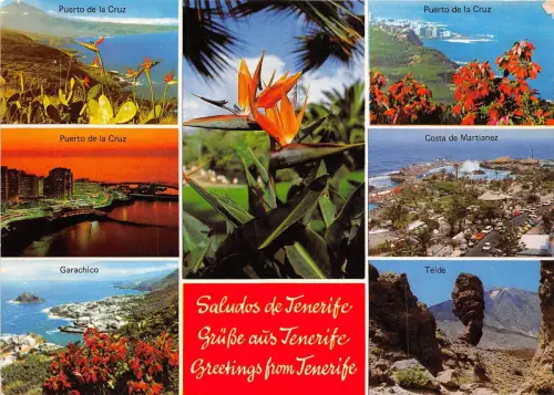 BG6322 Teneriffa Puerto de la Cruz Teide Costa de Martinanez Spanien