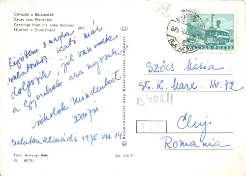 B40211 Balaton Ungarn