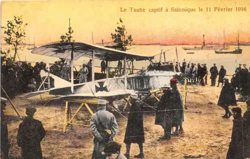 Lot142 Die gefangene Taube bei Salonique vom 11. Februar 1916 Flugzeug Griechenlandkrieg