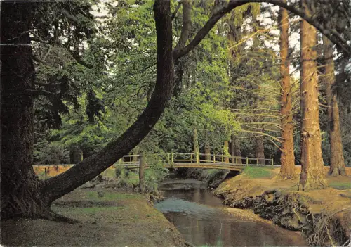 uk36577 ornamental drive in new forest uk lot 7 uk