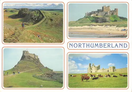 uk36696 northumberland uk lot 7 uk