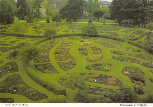 uk36567 Systematic Beds Cambridge UK Lot 7 UK