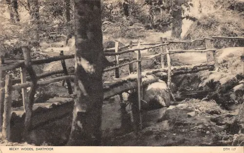 uk39645 bechy woods dartmoor real photo uk lot 23 uk