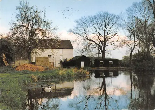 uk36554 bury st edmunds norfolk uk lot 7 uk