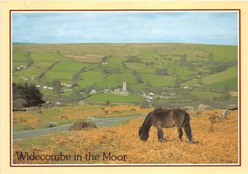 B88861 Widecombe im Moor Pferd UK