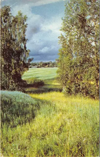 B46583 Russland Landschaft