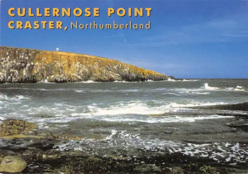 uk36452 cullernose point craster northumberland uk lot 7 uk