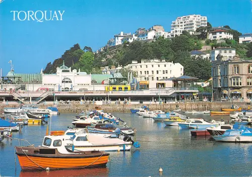 uk36529 torquay uk lot 7 uk