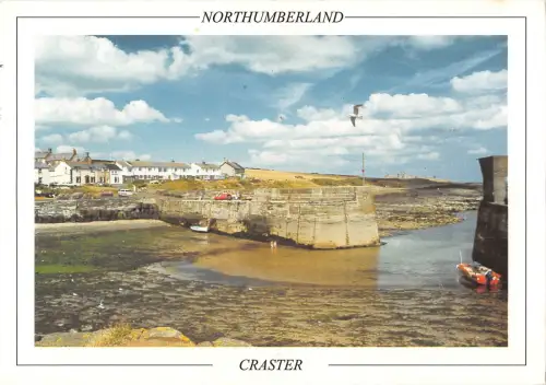 uk35443 northumberland uk lot uk 1