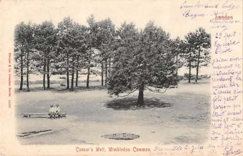 BR81652 London Caesar S Well Wimbledon Common UK