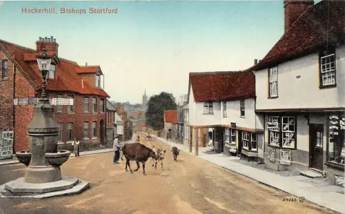 uk52603 hockerhill bishops stortford echtfoto uk