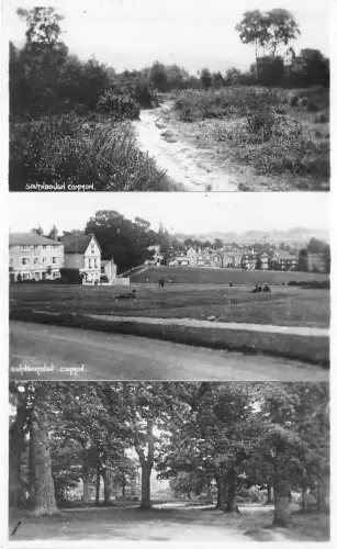 uk52327 southborough common echtfoto uk