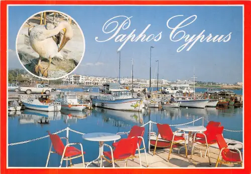Lot 1 Zypern Fischereihafen Boot Paphos Pelikan