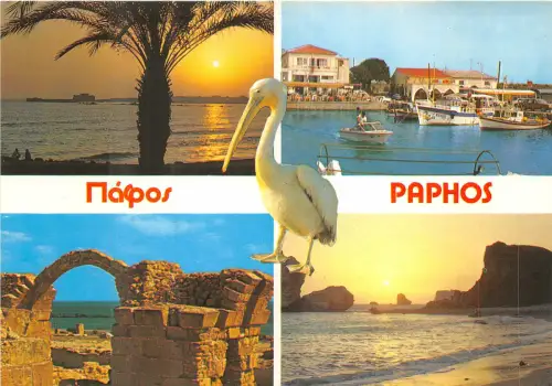 Lot 1 Zypern Paphos Pelikan Boot