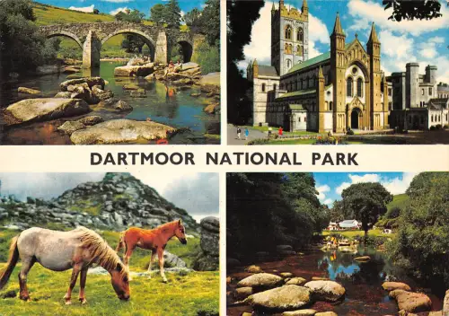 uk35989 dartmoor national park uk lot 4 uk